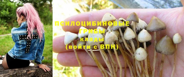 стаф Алексеевка