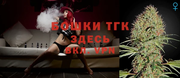 тгк Алексин