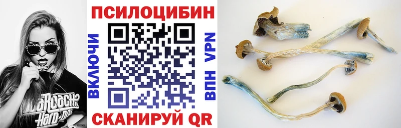 хочу Катайск Галлюциногенные грибы прущие грибы